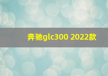 奔驰glc300 2022款